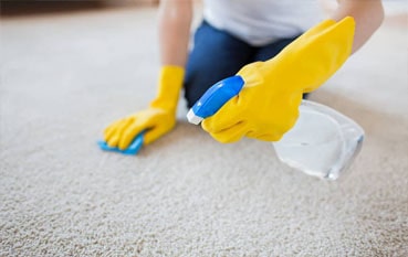 قالیشویی قائم