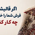اگر قالیشویی فرش شما را خراب کرد چه کار کنید؟ راهنمای کامل پیگیری
