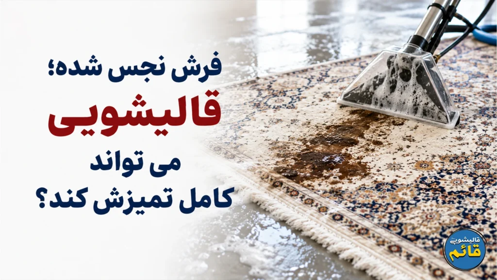 فرش نجس شده؛ قالیشویی می تواند کامل تمیزش کند؟